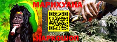 сатива Лесосибирск