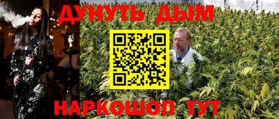 сатива Лесосибирск